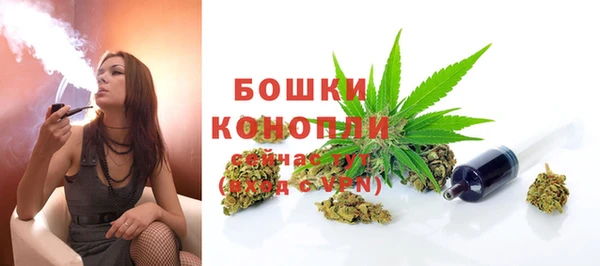 каннабис Дмитров