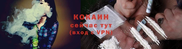 молекула духа Дмитриев