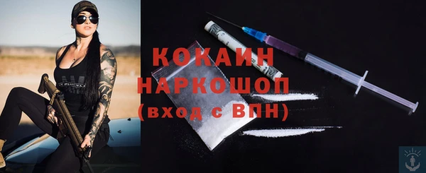 молекула духа Дмитриев