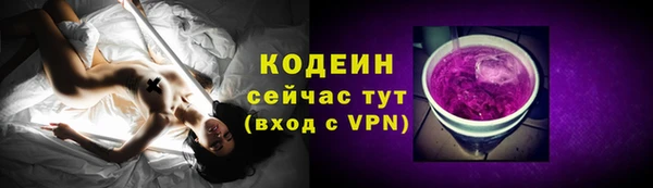 молекула духа Дмитриев
