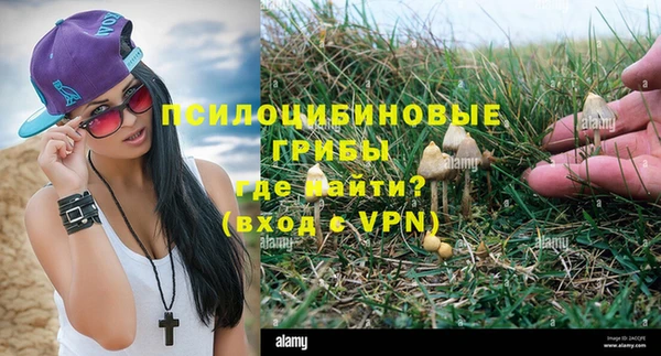 молекула духа Дмитриев