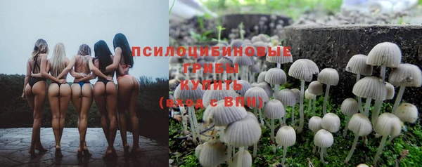 стафф Заволжск