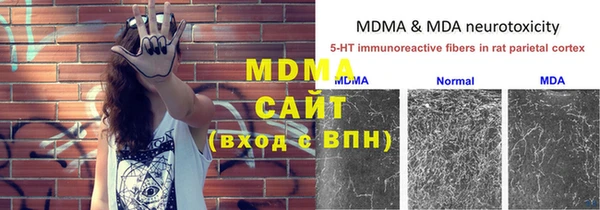 молекула духа Дмитриев