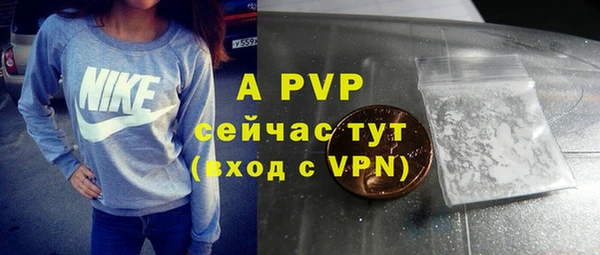 молекула духа Дмитриев