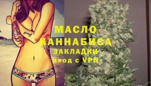 молекула духа Дмитриев