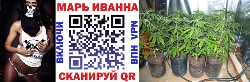 Шишки марихуана White Widow  Купить где  Новоузенск 